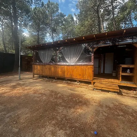 Campingplads каравана мир Chernomorets